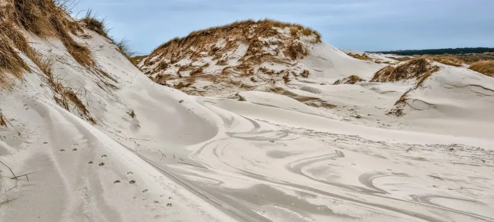 sand dunes on a north carolina beach