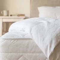 bed bug free white bed